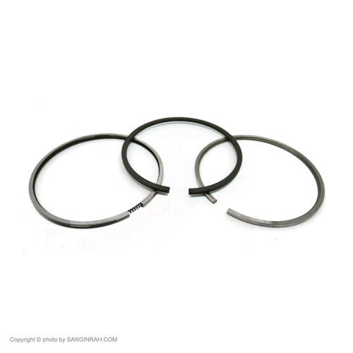 رینگ موتور پرکینز 3135